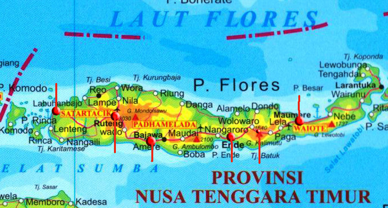 Flores Map 2 